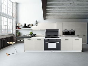 集成灶大品牌有哪些 今天幫大家整理一份